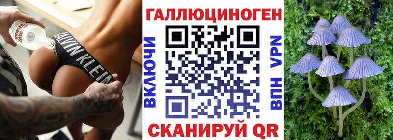 Псилоцибиновые грибы ЛСД  даркнет сайт  Ессентукская 